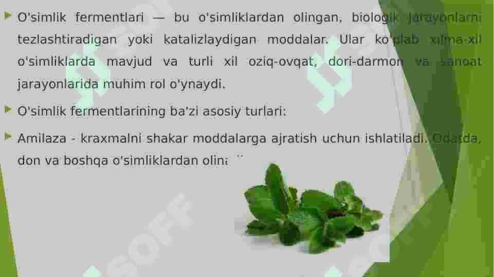 O'simlik fermentlari 3