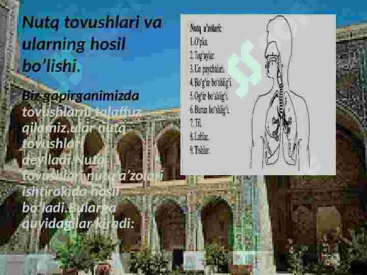 Oʻzbek tili tarixi 7