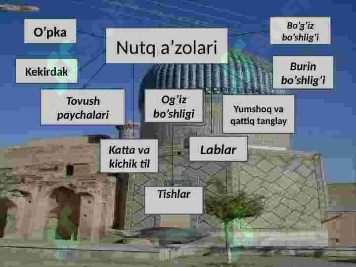 Oʻzbek tili tarixi 8