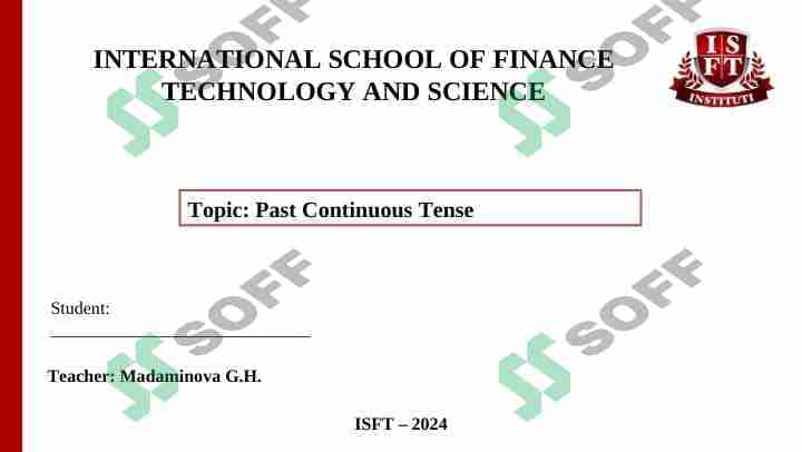 Past Continuous Tense 1
