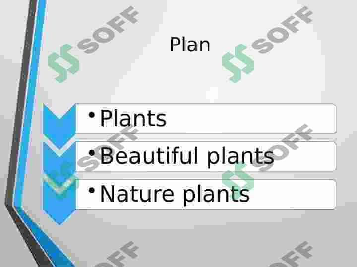 Plants 2