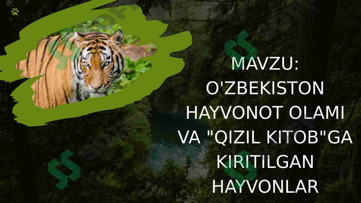 O'zbekiston hayvonot olami va "Qizil kitob"ga kiritilgan hayvonlar