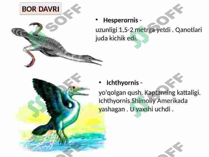Qushlar sinfi 6
