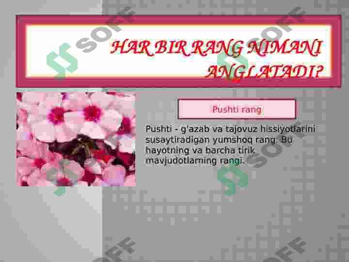 Rang psixologiyasi 5