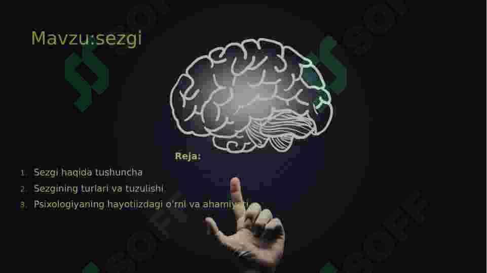 SEZGI 2