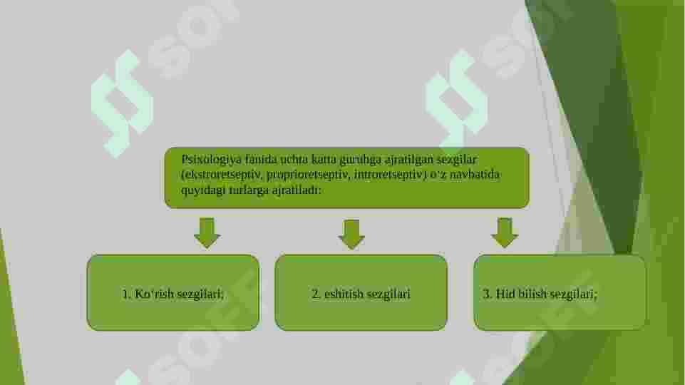SEZGI 3