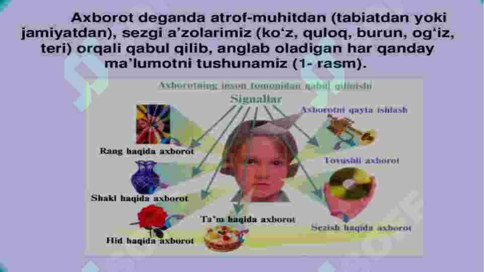 SEZGI 3