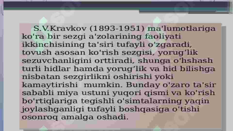 SEZGI 4