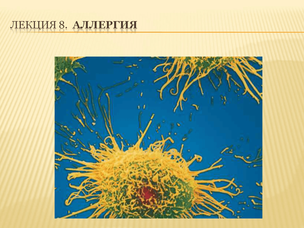 Аллергическая реакция ppt