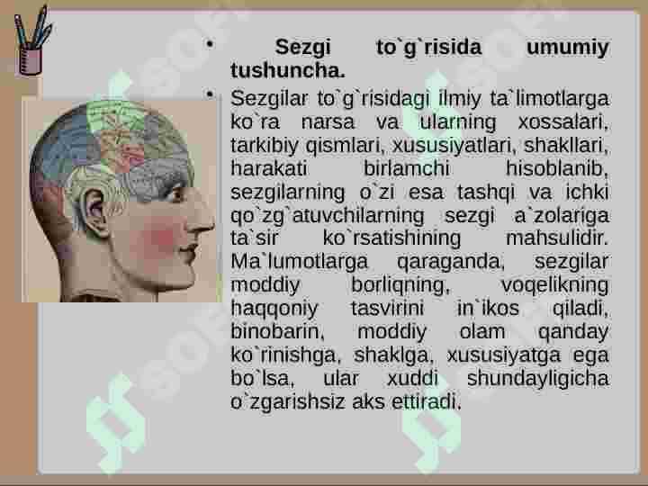Sezgi 4
