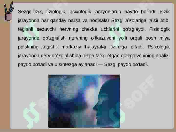 Sezgi 5