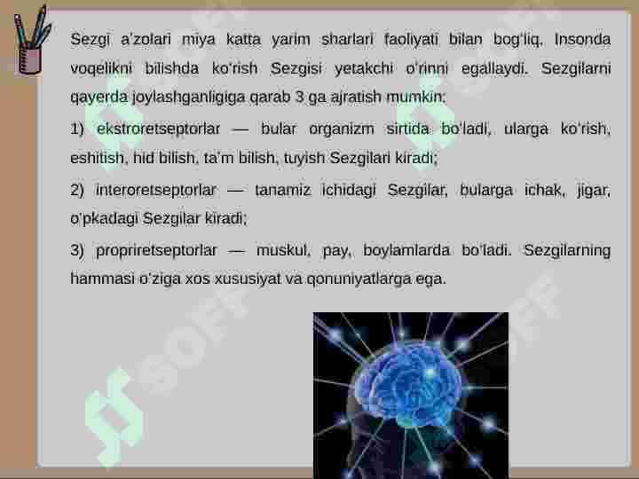 Sezgi 6