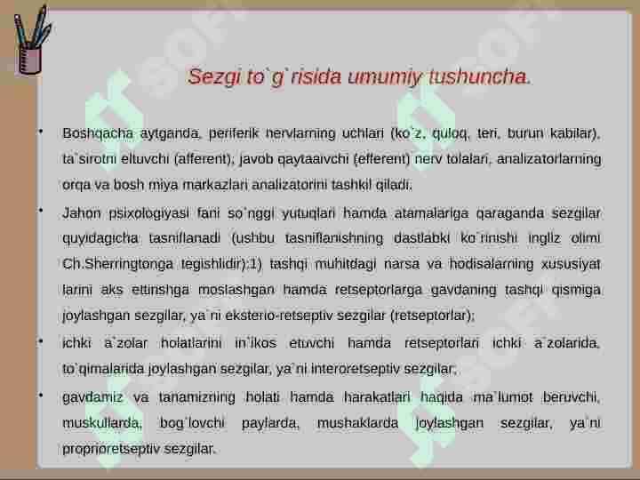 Sezgi 8