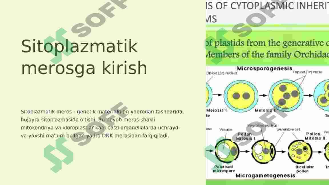 Sitoplazmatik irsiylanish 3