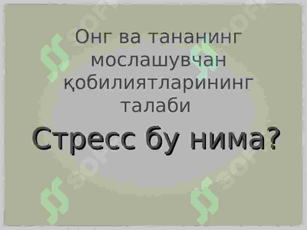 Stress nima 2