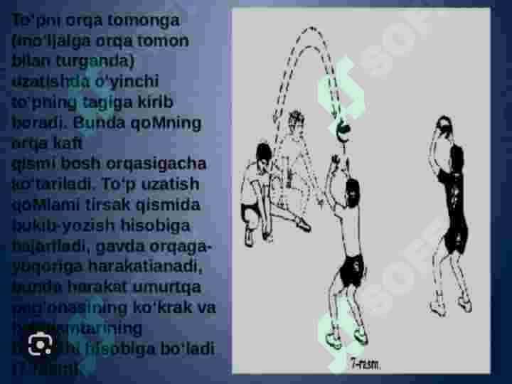 Valibol oʻyini 2