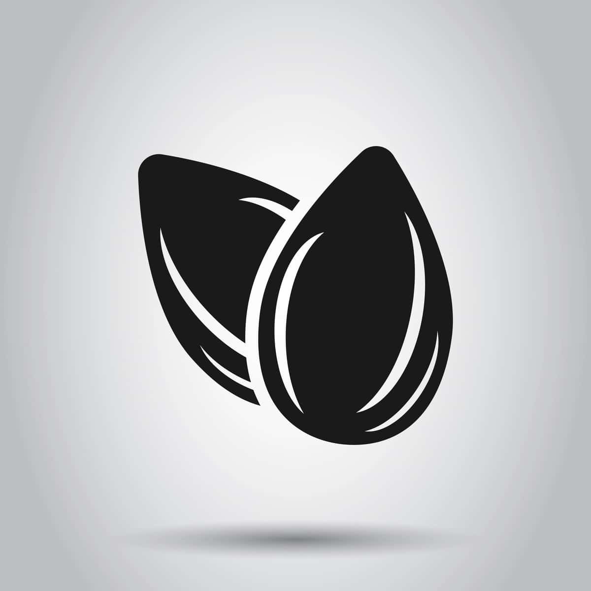 Bodom belgisi yassi uslubdagi loviya vektor tasviri izolyatsiyalangan fon | Almond icon flat style bean vector illustration isolated background 1