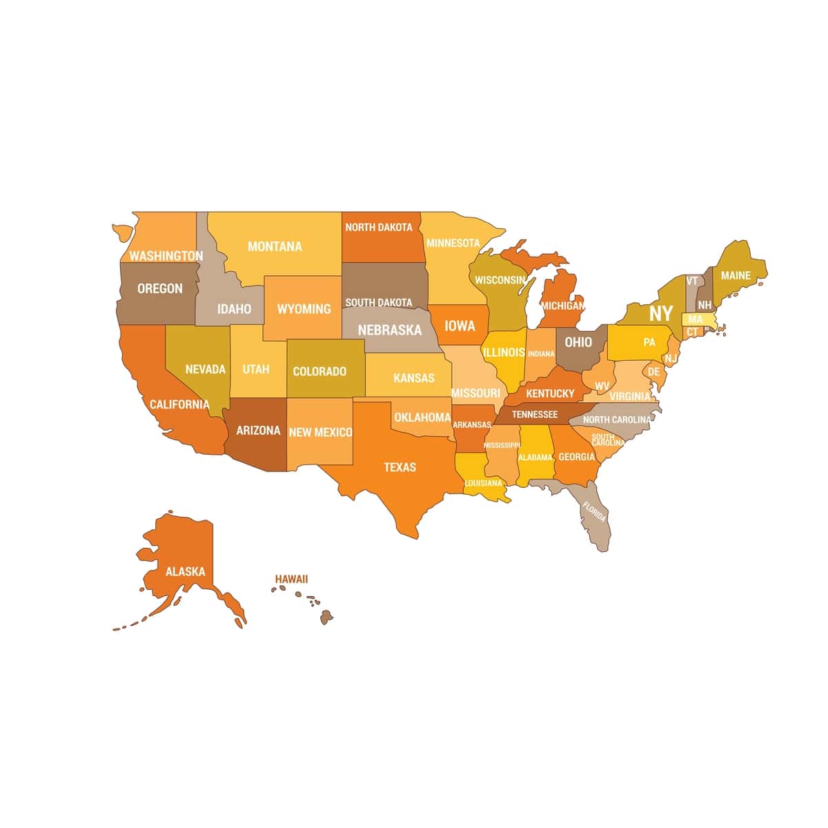 Viloyatning noyob rangli illyustratsiyasi bilan Amerika xaritasi | American map with province unique color illustration art different 1