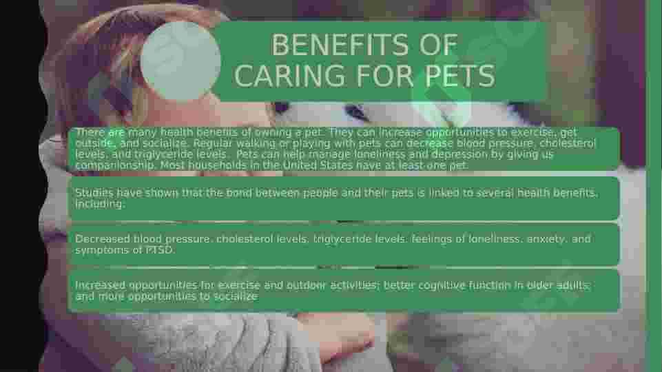 animals and pets 4