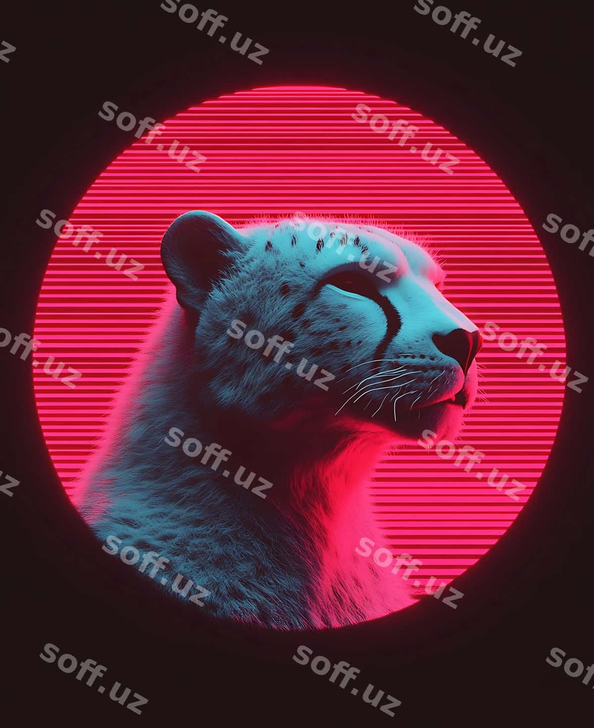 Arafed rasm gepard qizil doira | Arafed image cheetah red circle 1