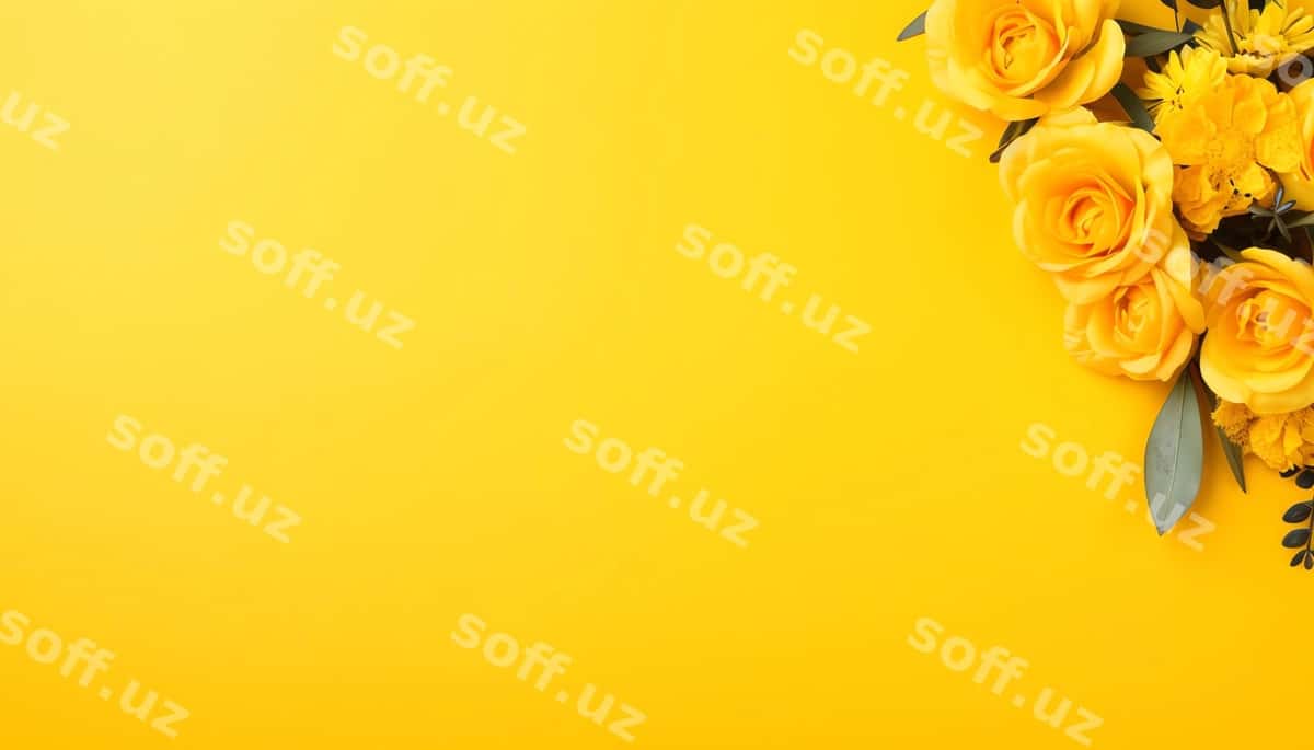 Fonda mahsulot suratga olish | Background product photography 1