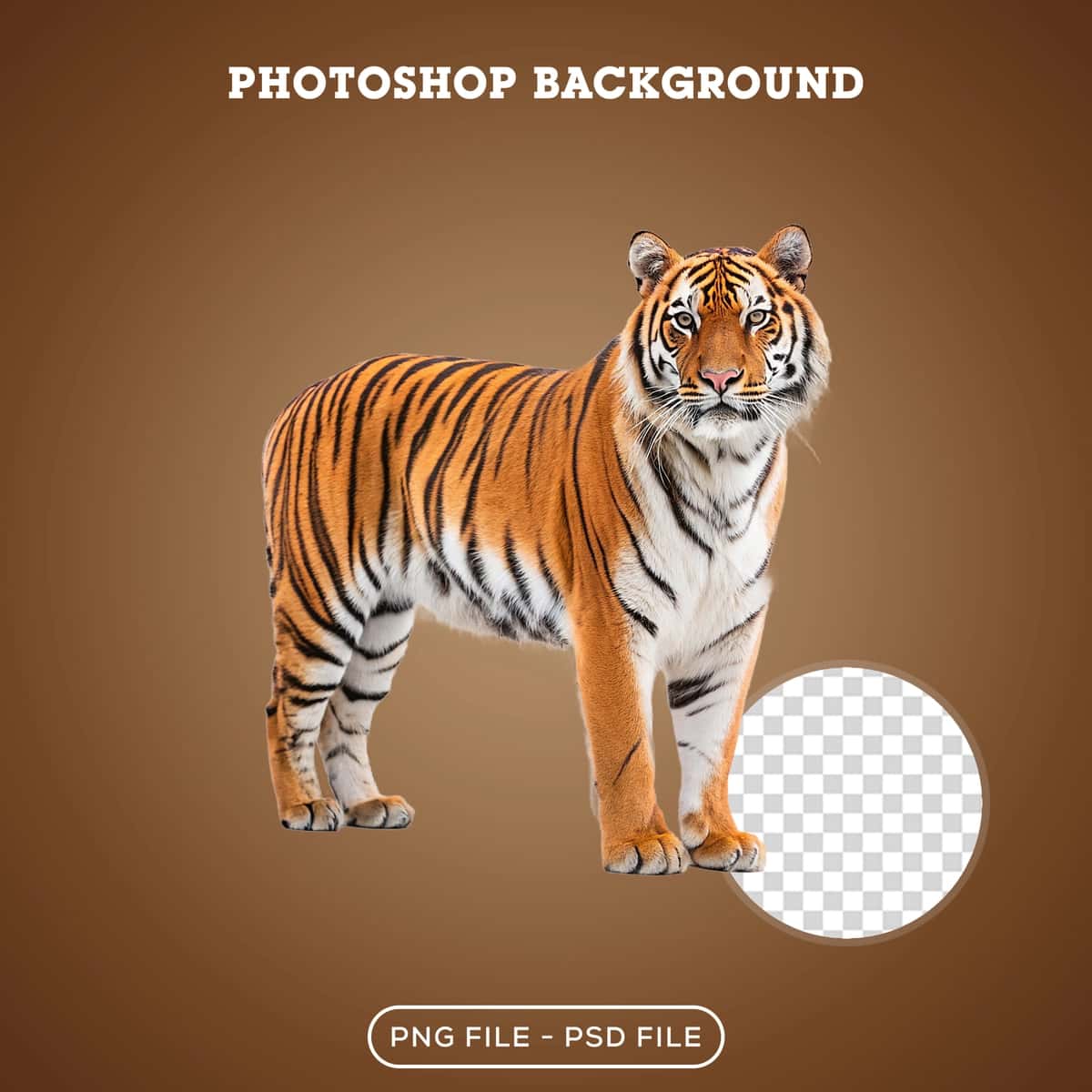 Haqiqiy yo'lbars kesilgan fotoshop foni | Realistic tiger cutout photoshop background 1