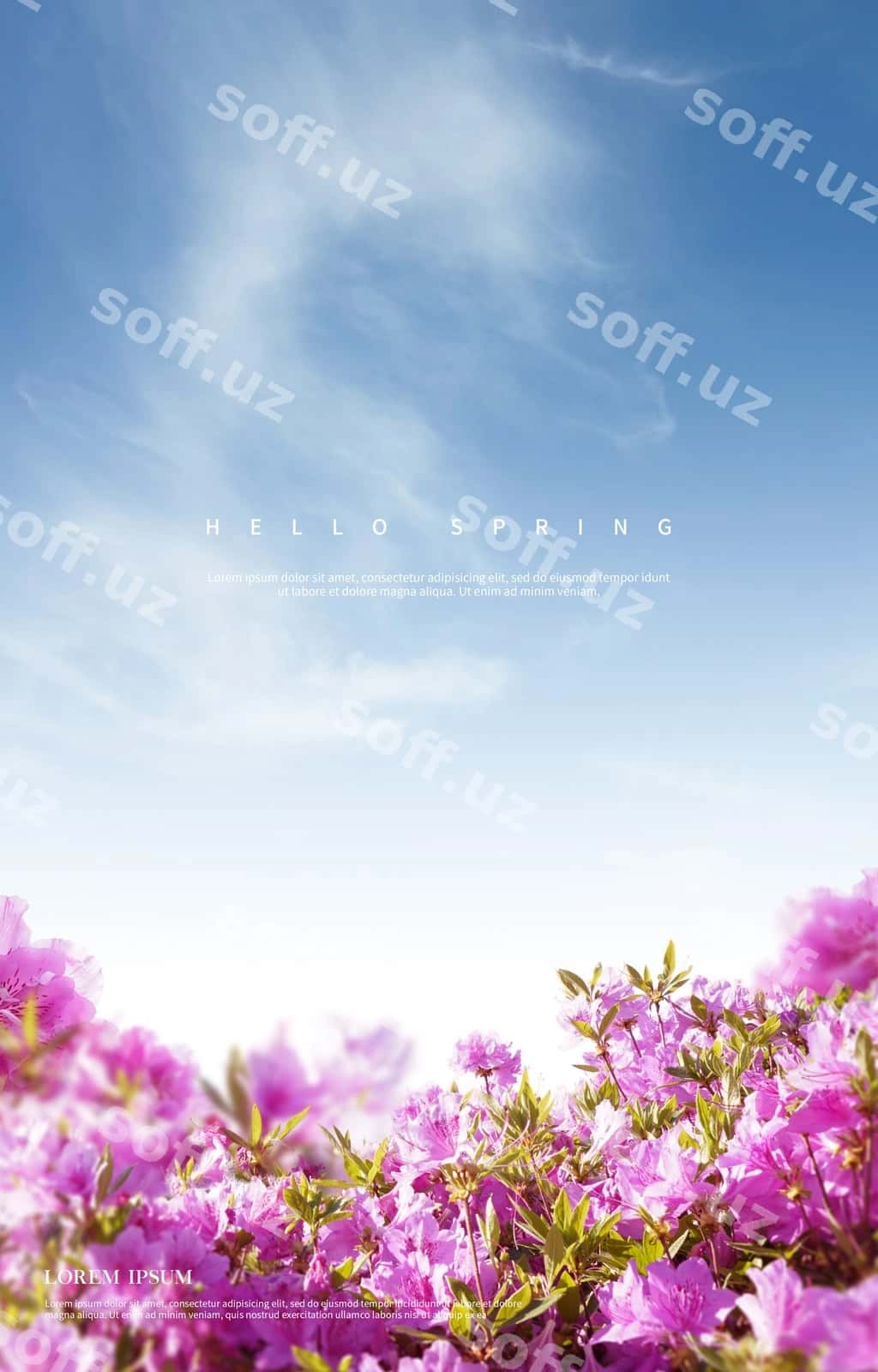 Go'zal bahor gullari orqa fon | Beautiful spring flowers background 1