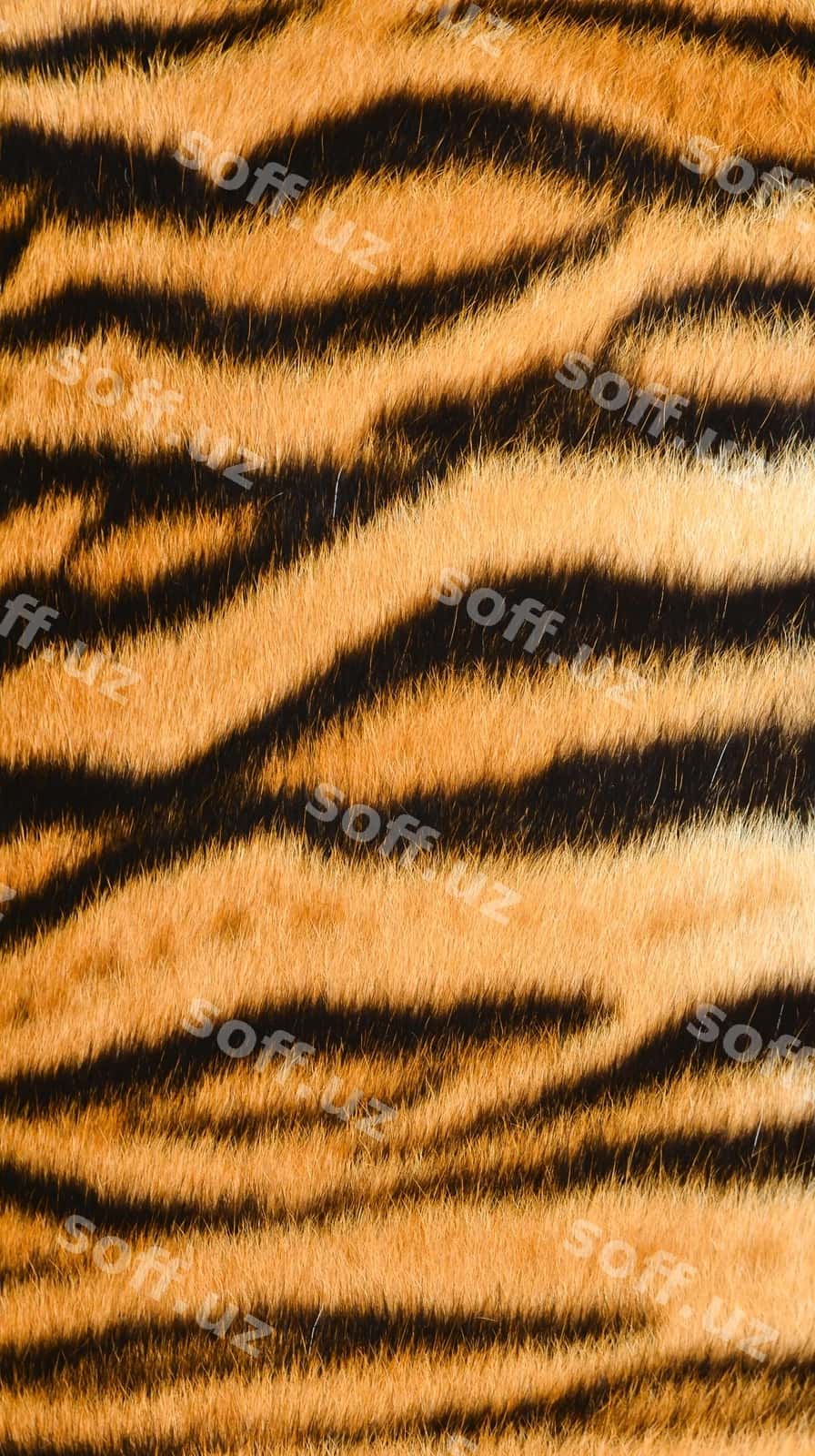 Bengal barvati olovchi paltari | Bengal tiger fur 1
