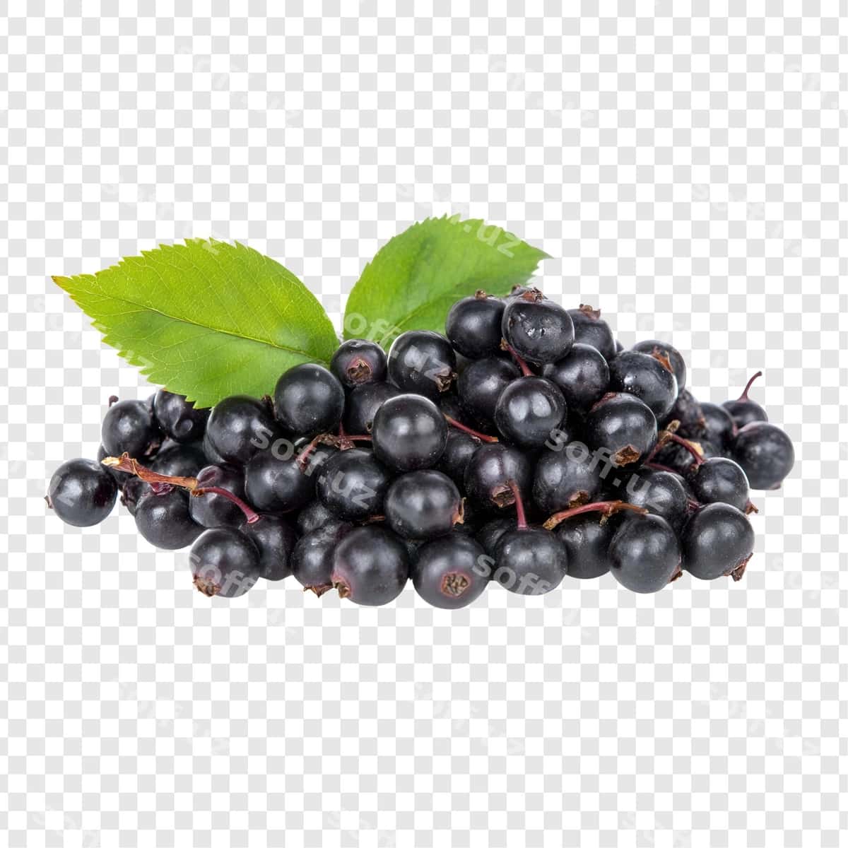 Shaffof ajralgan boringlar | Berries isolated transparent 1
