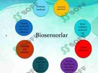 Biosensorlar 2