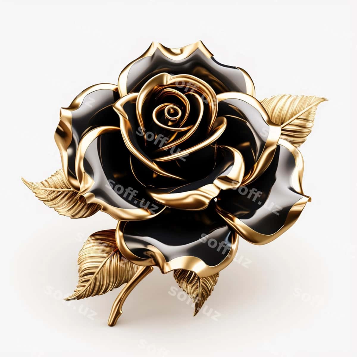 Qora roza | Black rose 1