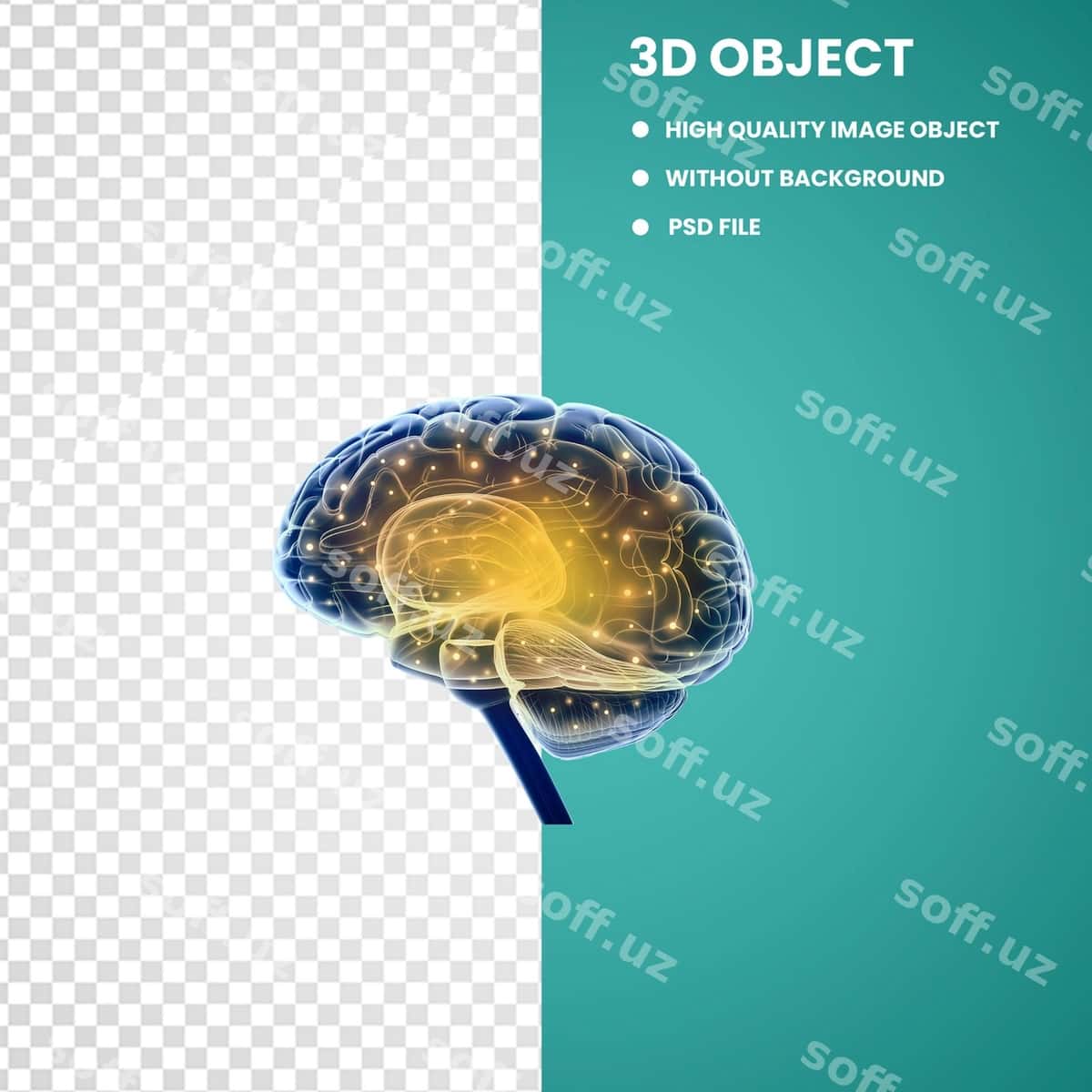 Insonga oyog'iy ko'k va sariq | Blue yellow human brain 1