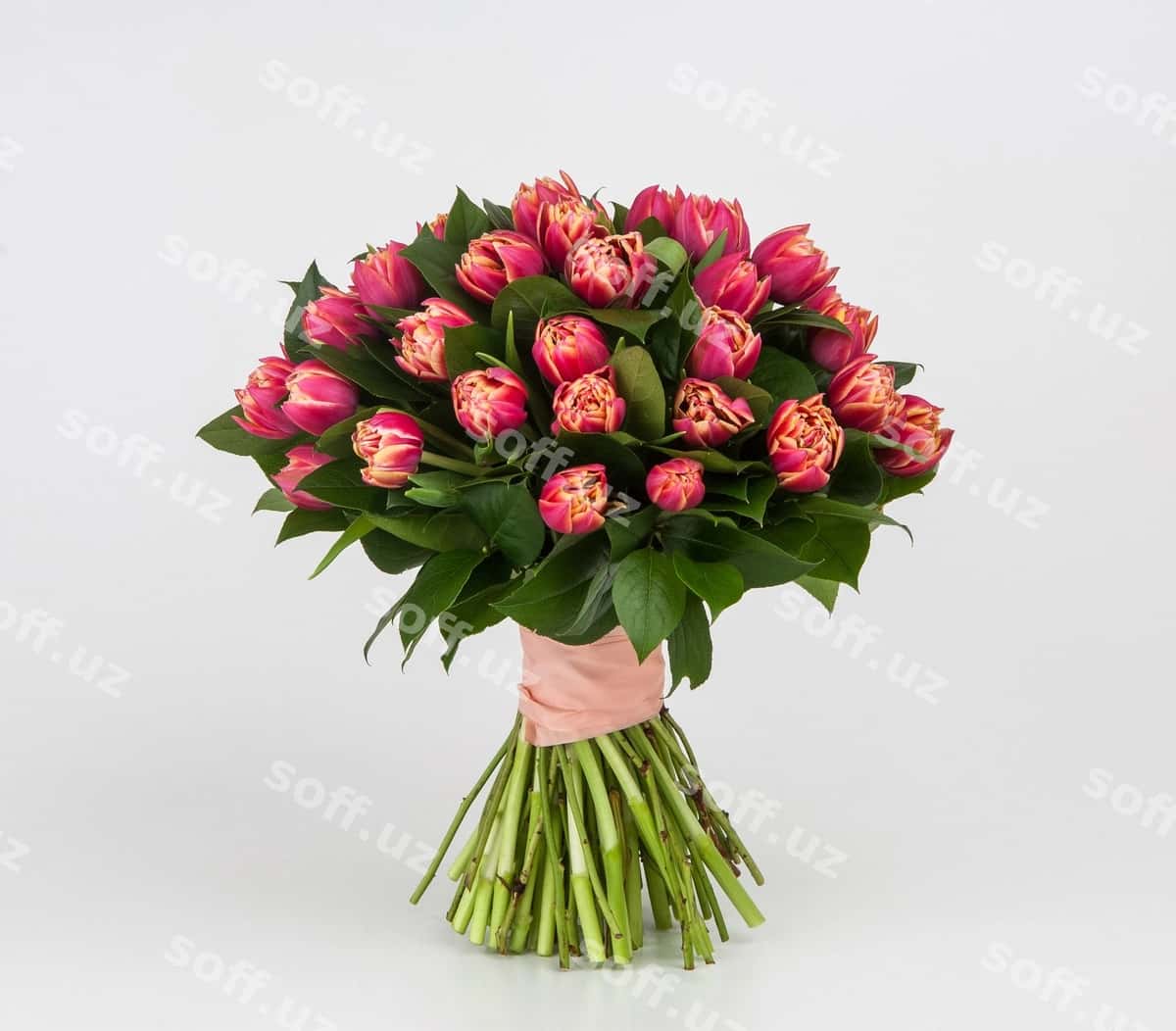 Oq fonda bahorgi gullar guldastasi | Bouquet spring flowers white background 1