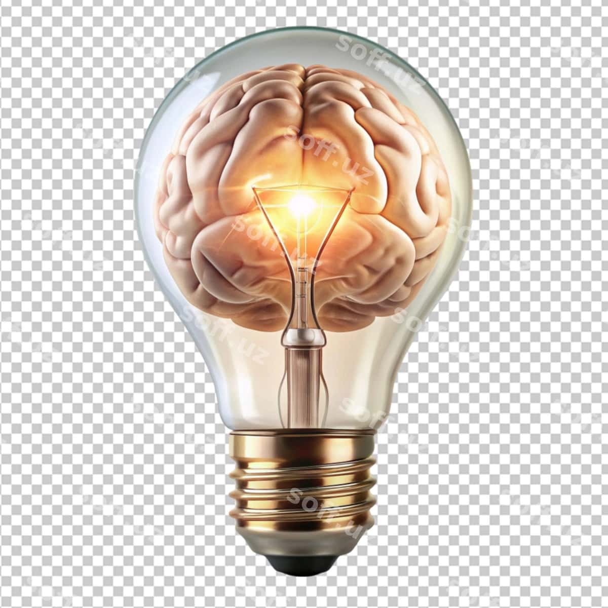 Bosh shaklidagi lampochka | Brain shape light bulb 1