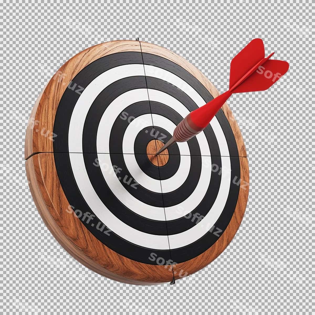 Isora sizning maqsadlaringizga erishish | Bullseye achieving your goals 1