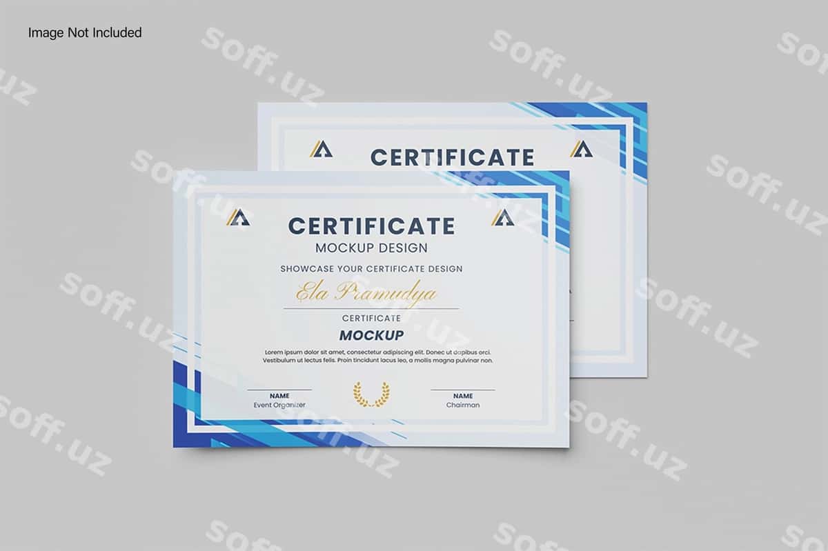 Sertifikat maketi | Certificate mockup 1