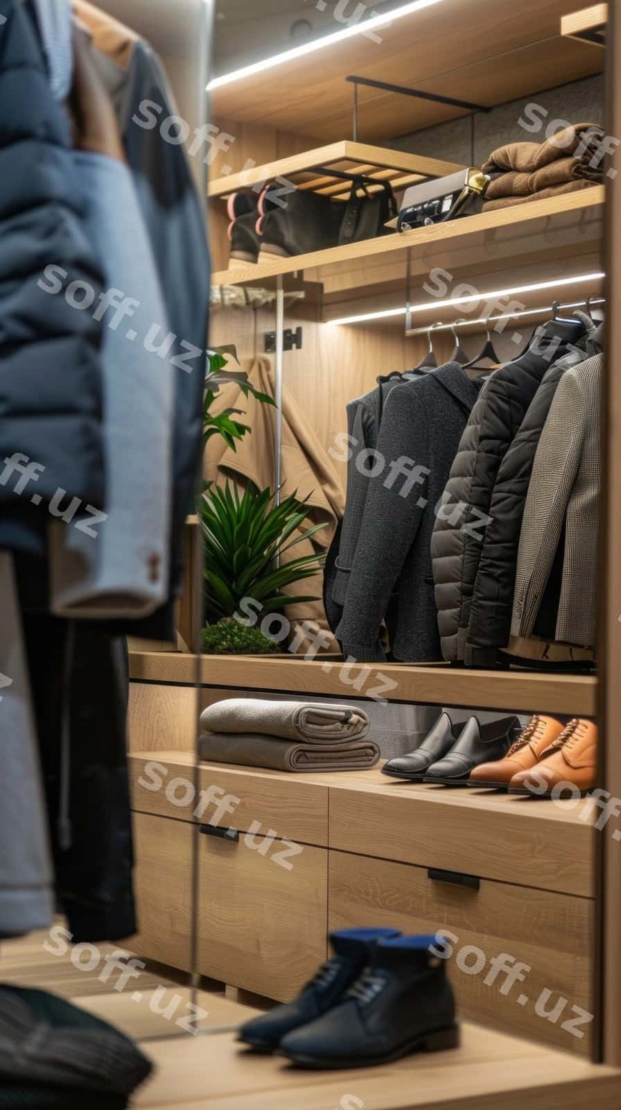 Ayna bilan shkaf, uni o'simlik qiling | Closet with mirror plant it 1