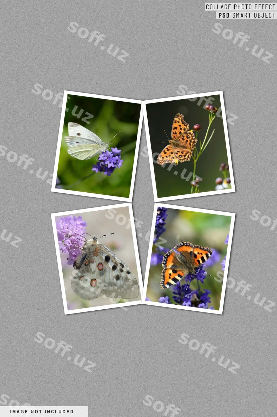 Kollej fotosurat effekti psd aklli obyekt | Collage photo effect psd smart object 1