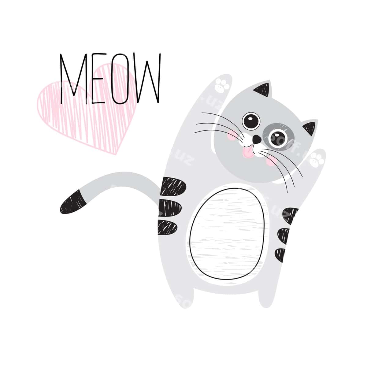 Chiroyli kulrang mushuk oq orqa fonda mew | Cute gray cat white background meow 1