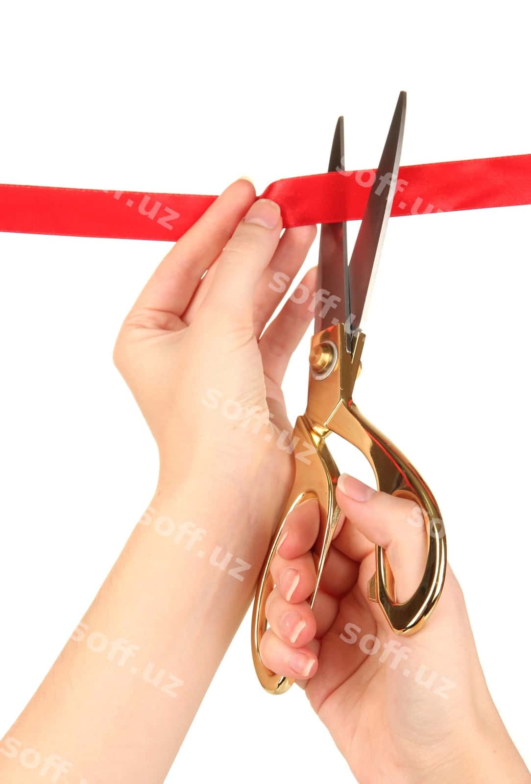 Qizil lentni kesish, oq fonda ajraltirilgan | Cutting red ribbon isolated white 1