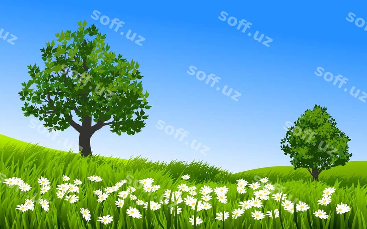Dasi maydoni yashil chaman va daraxt bilan | Daisy field with green grass tree 1
