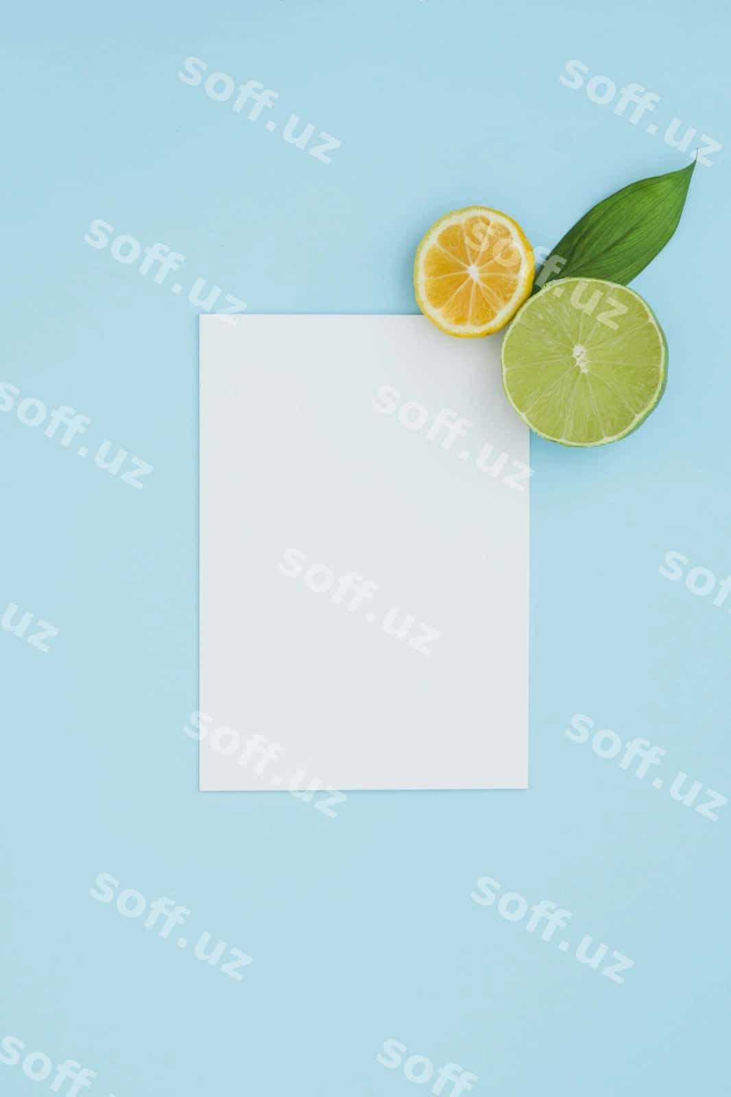 Mazali meva konseptsiya namunasi | Delicious fruit concept mock up 1