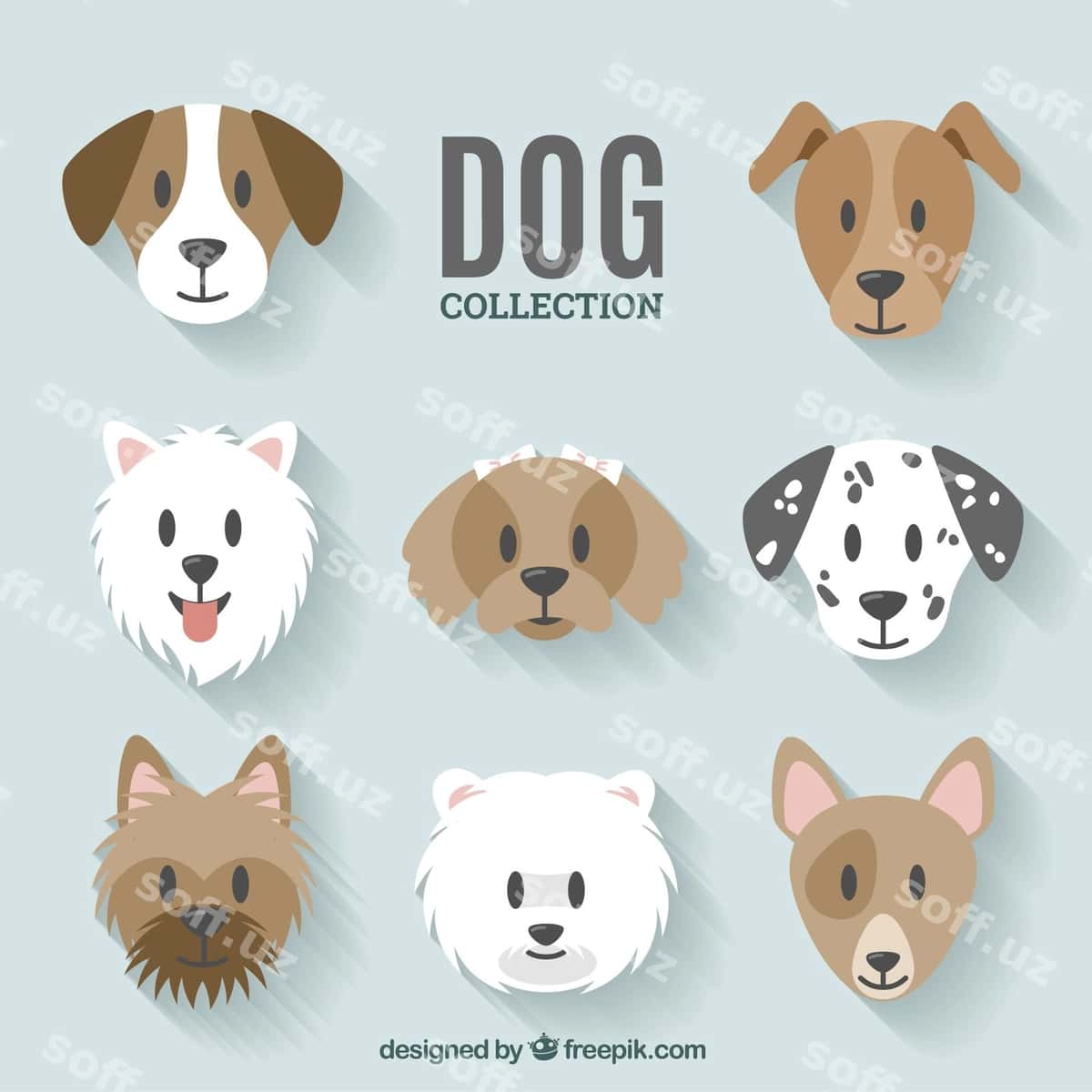 It to'plam dizayni | Dog collection design 1