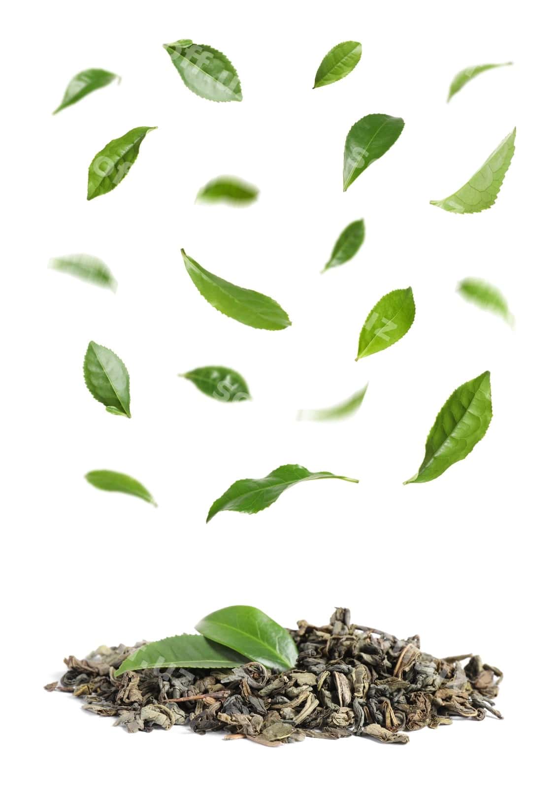 Quruq yangi choy yaproqlari oq fonda | Dry fresh tea leaves white background 1