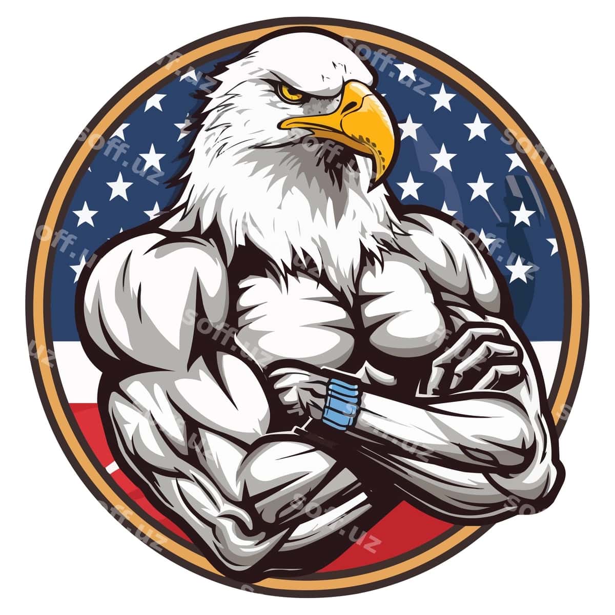 Burgut halqa yulduzlar chiziqlari bilan | Eagle with ring stars stripes 1