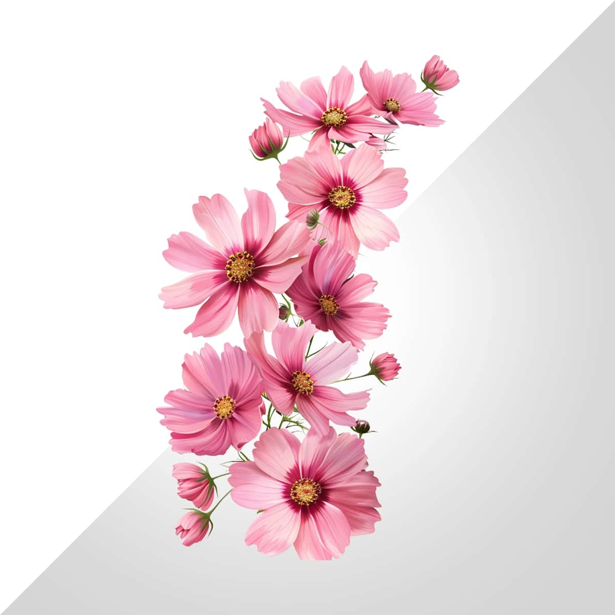 Shaffof fonda suzuvchi bahor gullari ajratilgan | Floating spring flowers isolated transparent background 1