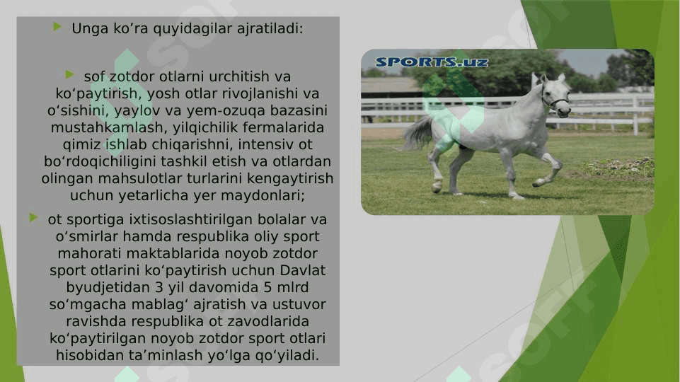 Yilqichilik 4
