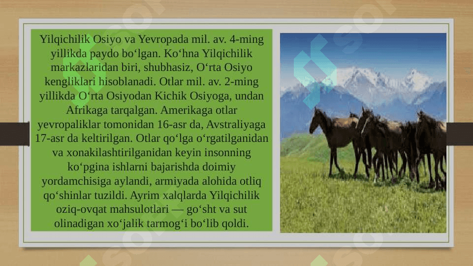 Yilqichilik 4