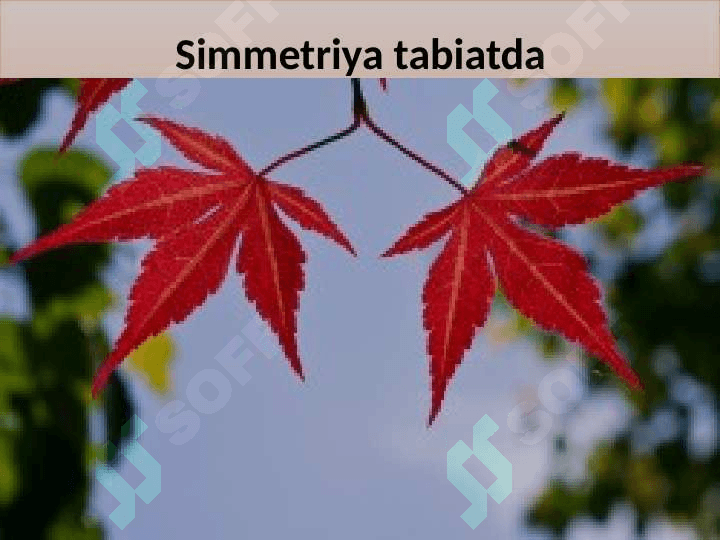 Simmetriya matematika boshlang'ich ta'lim 6