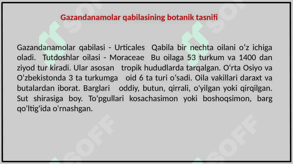 GAZANDANAMOLAR (URTICALES) QABILASI 3
